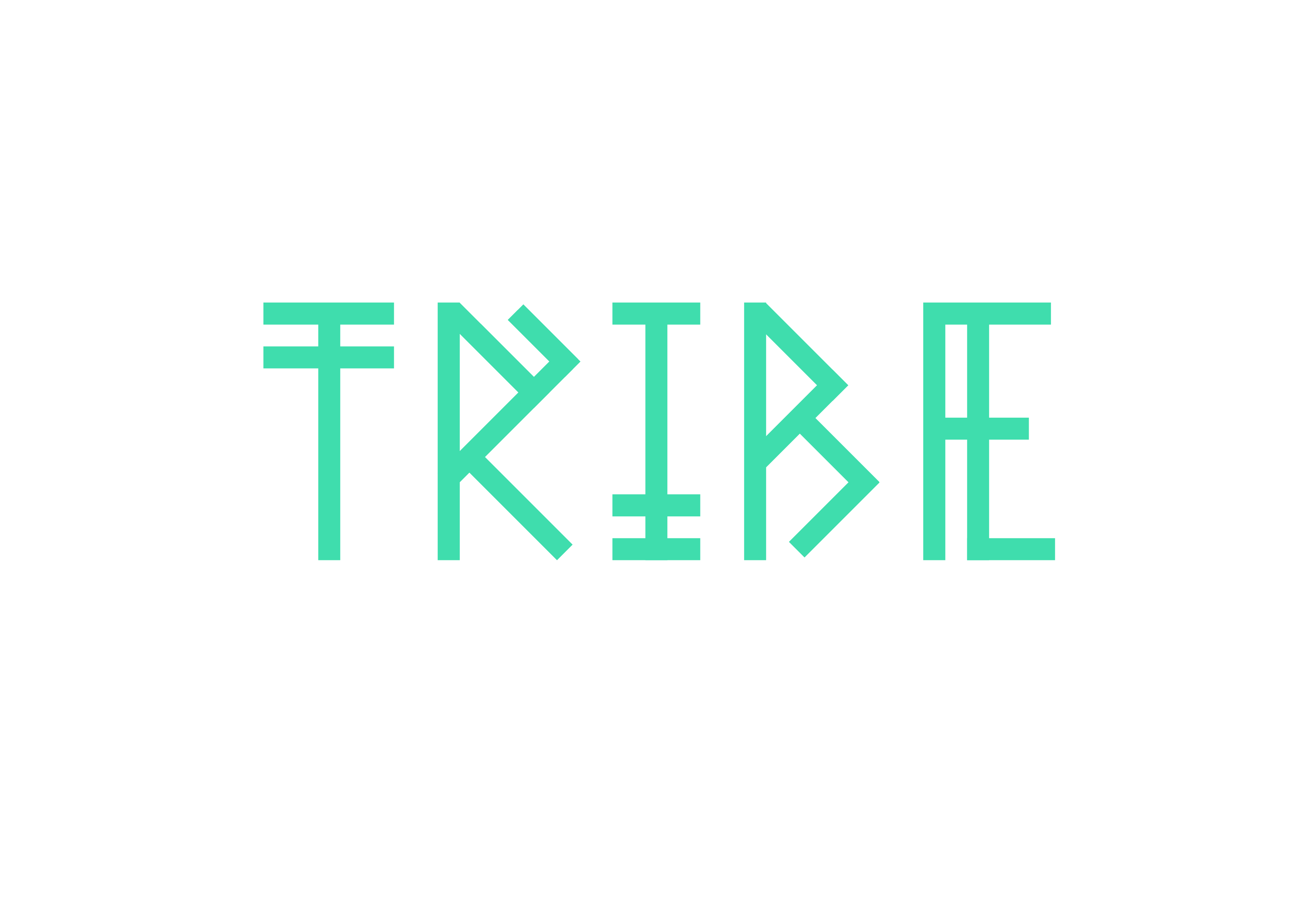 Logo of Tribe Tours.